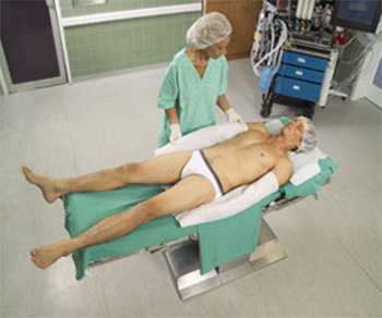 16849-Allon-overview